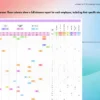 Employee Absence Tracker